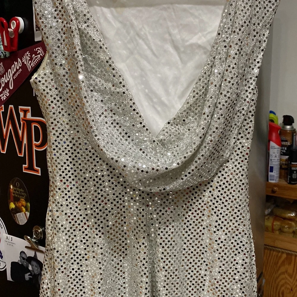 Silver gown - Picture 3 of 8
